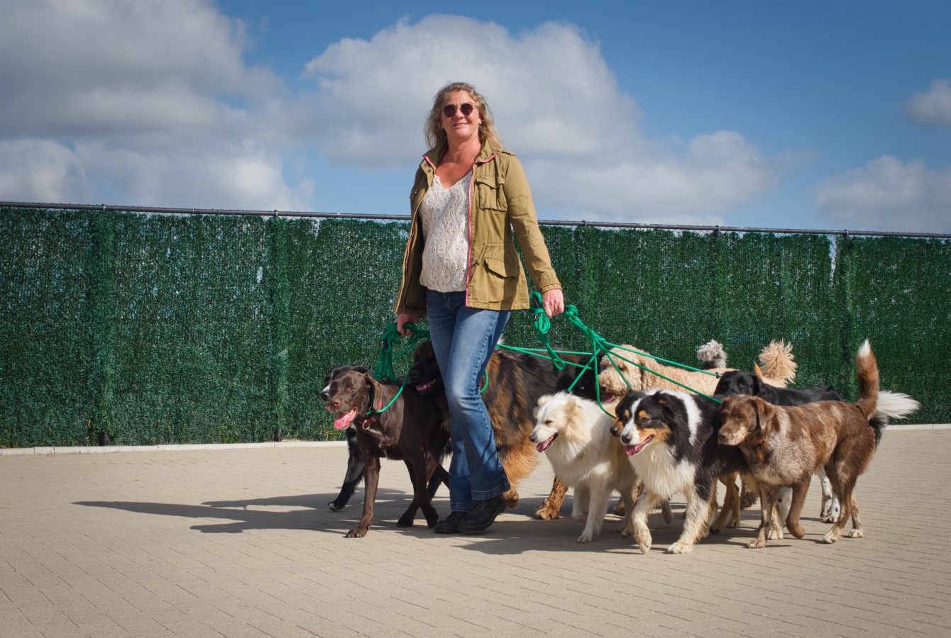 Lauri met diverse honden