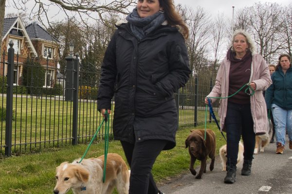 Groepsconsult wandelen aan de lijn