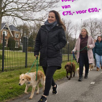 Groepsconsult wandelen aan de lijn