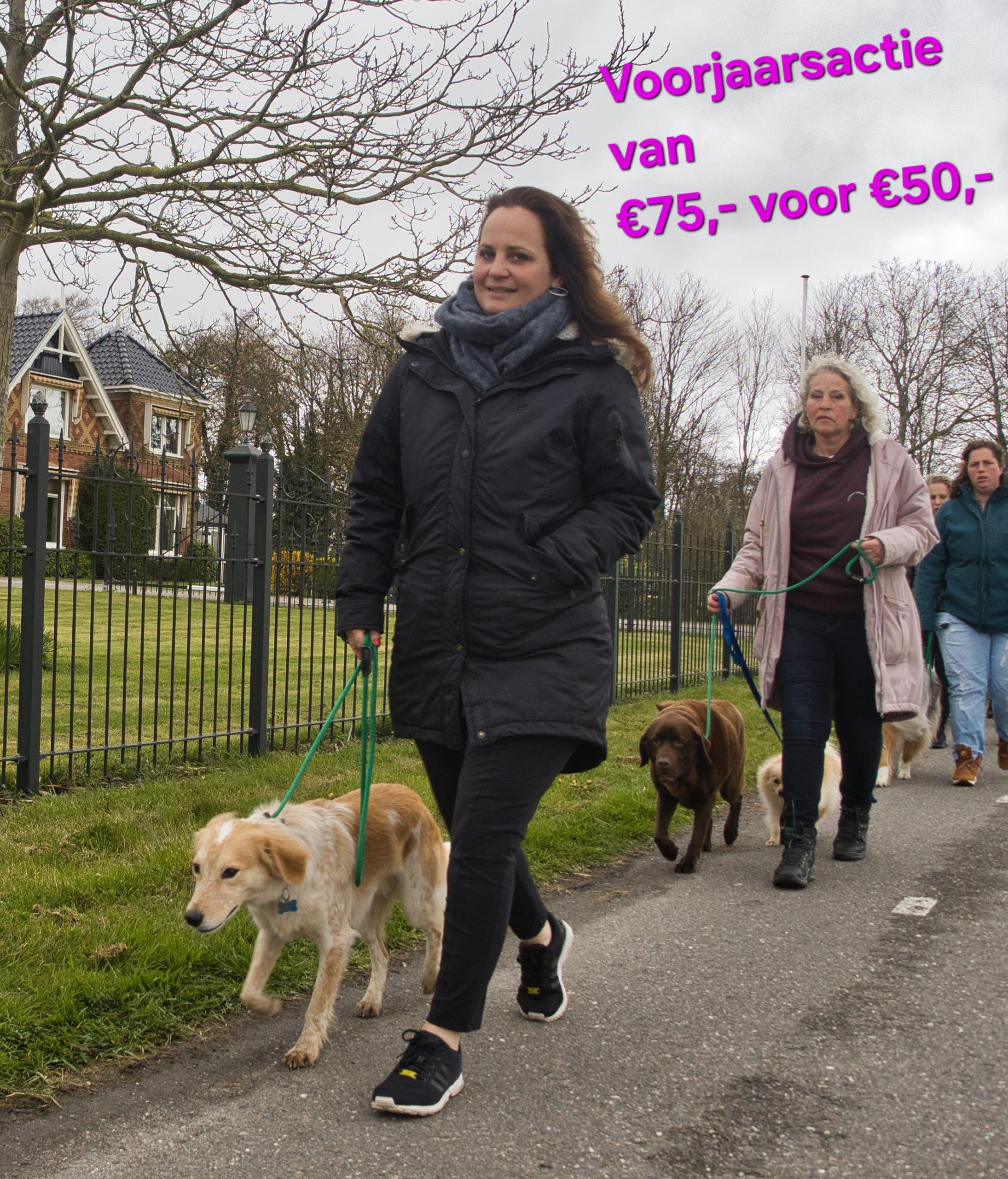 Groepsconsult wandelen aan de lijn